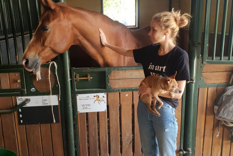 Blog / Natáčanie klipu rapera Vladisa v našom Areáli Rozálka - foto Blog / Natáčanie klipu rapera Vladisa v našom Areáli Rozálka - foto