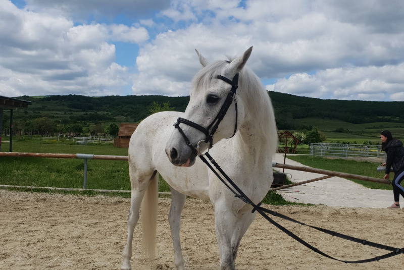 Blog / Natáčanie klipu rapera Vladisa v našom Areáli Rozálka - foto Blog / Natáčanie klipu rapera Vladisa v našom Areáli Rozálka - foto