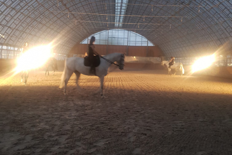 Blog / Natáčanie klipu rapera Vladisa v našom Areáli Rozálka - foto Blog / Natáčanie klipu rapera Vladisa v našom Areáli Rozálka - foto