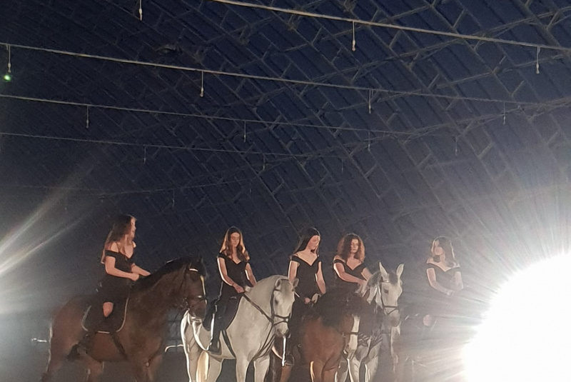 Blog / Natáčanie klipu rapera Vladisa v našom Areáli Rozálka - foto Blog / Natáčanie klipu rapera Vladisa v našom Areáli Rozálka - foto