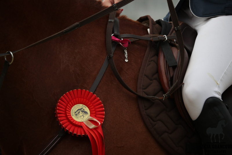 Blog / Finále 44.ročníka o Malokarpatský strapec - foto Blog / Finále 44.ročníka o Malokarpatský strapec - foto