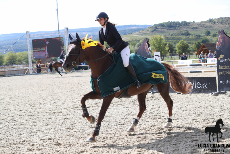 Blog / Finále 44.ročníka o Malokarpatský strapec - foto Blog / Finále 44.ročníka o Malokarpatský strapec - foto