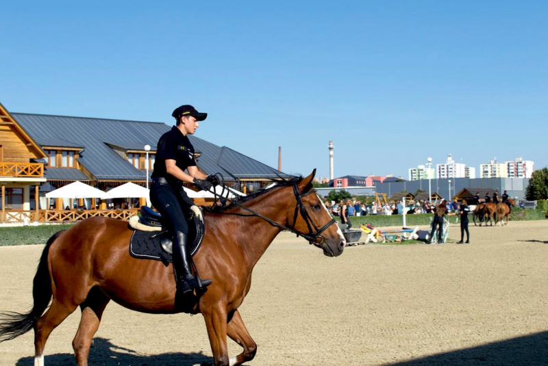 Blog / Oddelenie jazdnej polície so sídlom na Rozálke. - video Blog / Oddelenie jazdnej polície so sídlom na Rozálke. - video