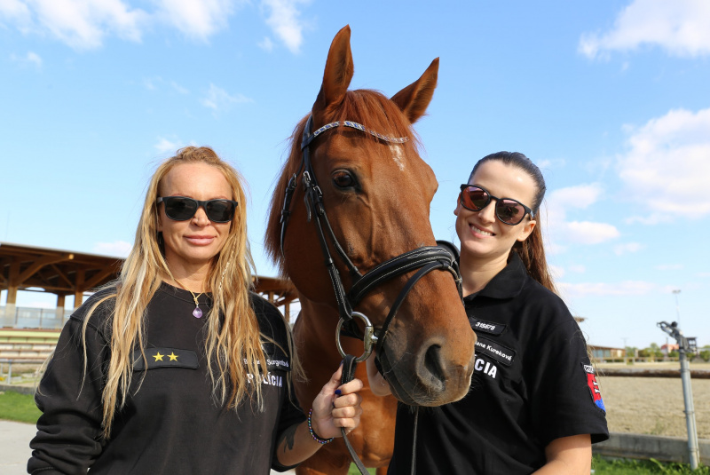 Blog / Oddelenie jazdnej polície so sídlom na Rozálke. - video Blog / Oddelenie jazdnej polície so sídlom na Rozálke. - video