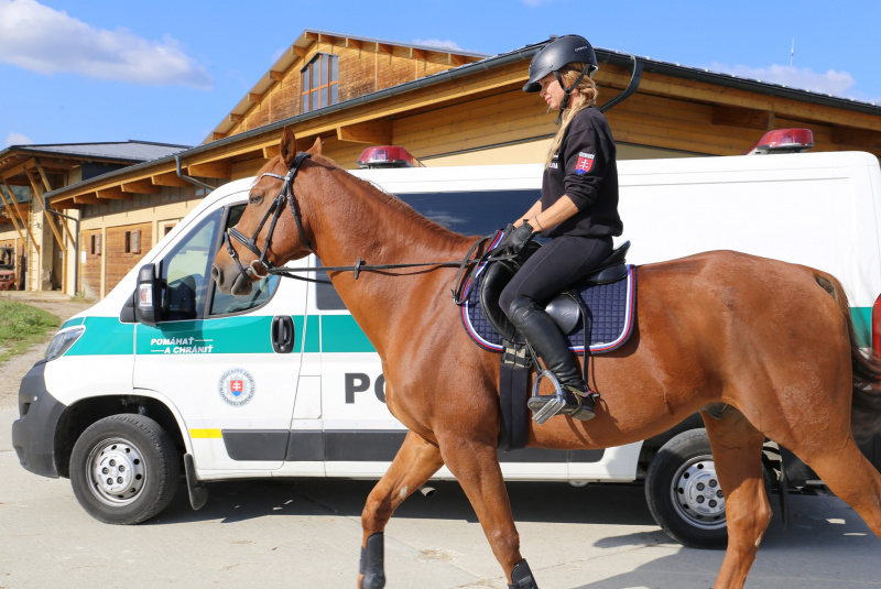 Blog / Oddelenie jazdnej polície so sídlom na Rozálke. - video Blog / Oddelenie jazdnej polície so sídlom na Rozálke. - video