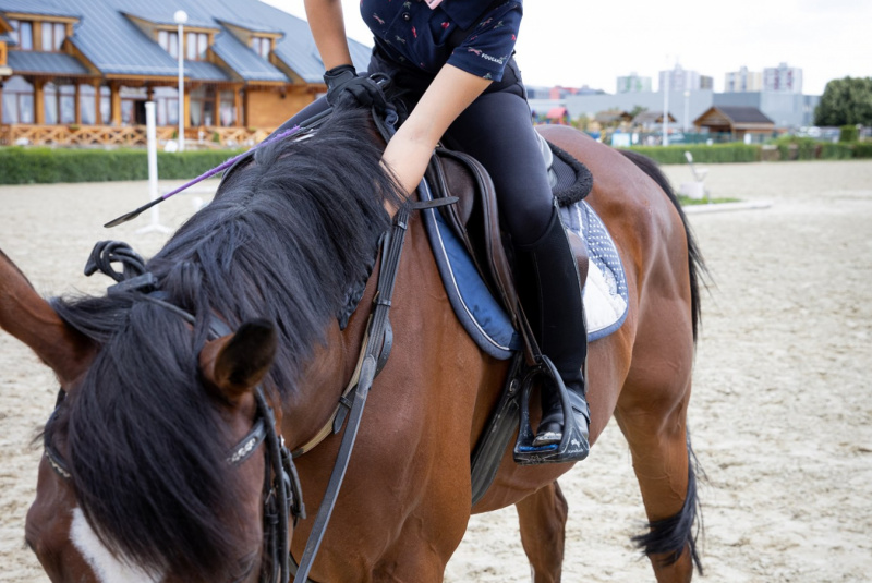 Blog / Nové zápletky obľúbeného seriálu Oteckovia z priestorov našeho Areálu. - foto Blog / Nové zápletky obľúbeného seriálu Oteckovia z priestorov našeho Areálu. - foto