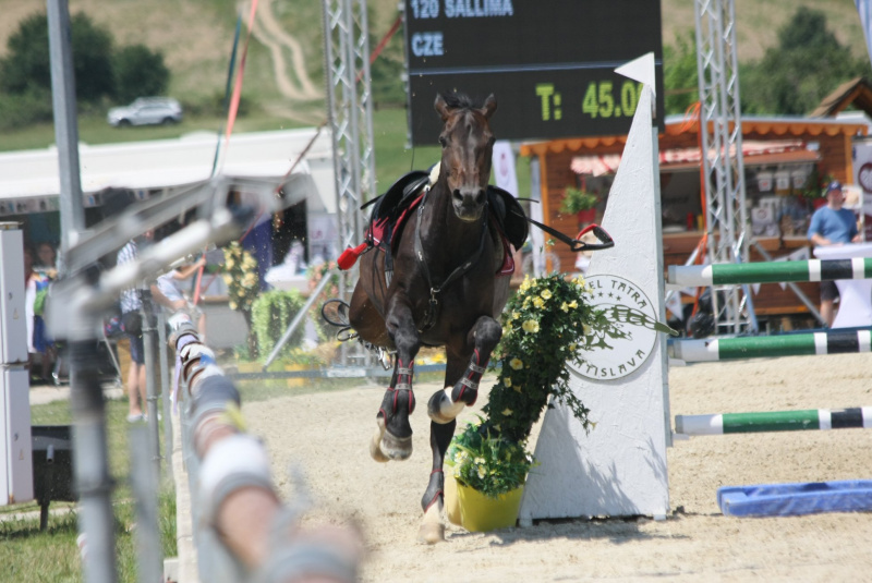 Grand Prix parkúrové a medzinárodné voltížne preteky 2018 Grand Prix parkúrové a medzinárodné voltížne preteky 2018
