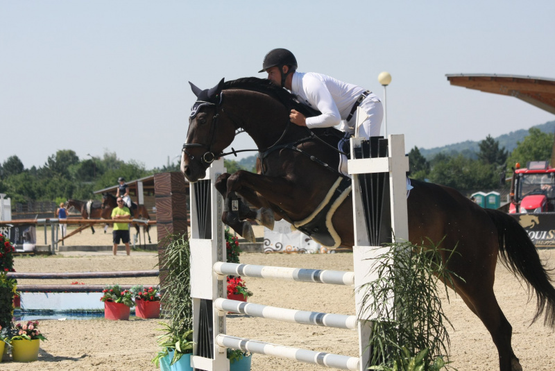 Grand Prix parkúrové a medzinárodné voltížne preteky 2018 Grand Prix parkúrové a medzinárodné voltížne preteky 2018