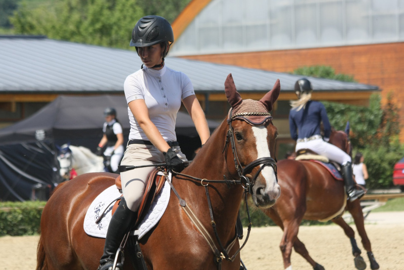 Grand Prix parkúrové a medzinárodné voltížne preteky 2018 Grand Prix parkúrové a medzinárodné voltížne preteky 2018