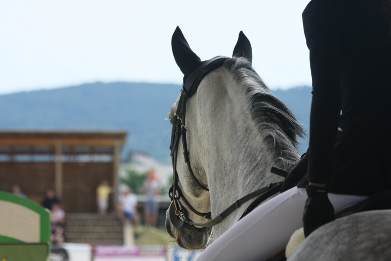 Grand Prix parkúrové a medzinárodné voltížne preteky 2018 Grand Prix parkúrové a medzinárodné voltížne preteky 2018