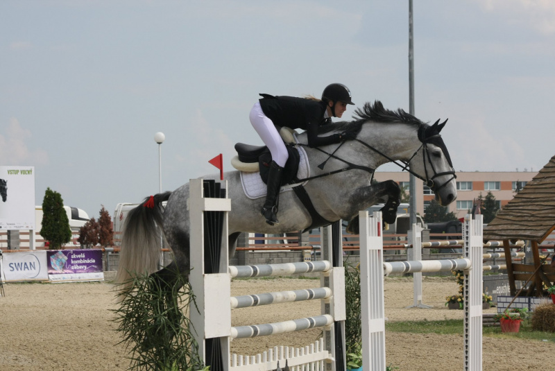 Grand Prix parkúrové a medzinárodné voltížne preteky 2018 Grand Prix parkúrové a medzinárodné voltížne preteky 2018