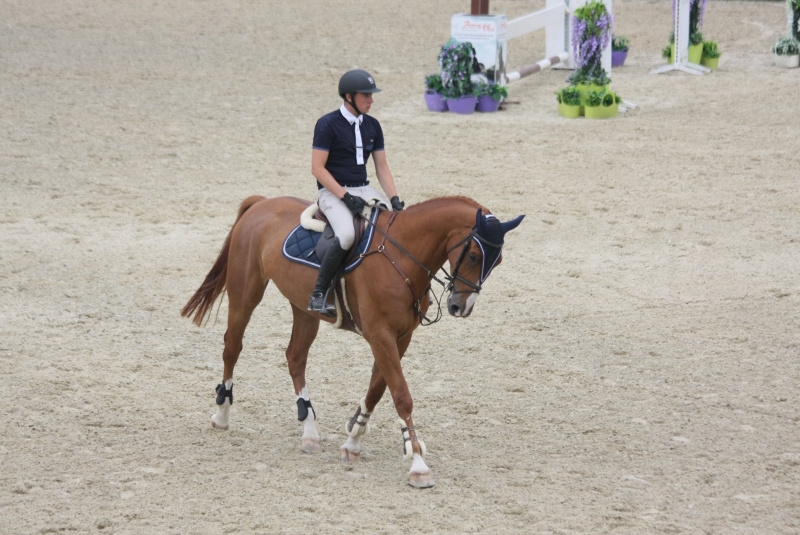 Grand Prix parkúrové a medzinárodné voltížne preteky 2018 Grand Prix parkúrové a medzinárodné voltížne preteky 2018