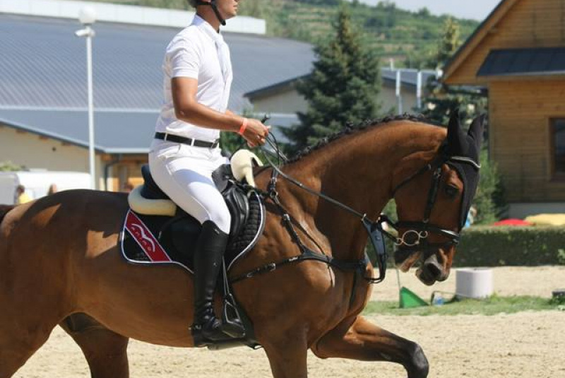 Grand Prix parkúrové a medzinárodné voltížne preteky 2018 Grand Prix parkúrové a medzinárodné voltížne preteky 2018