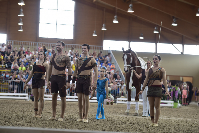 Grand Prix parkúrové a medzinárodné voltížne preteky 2018 Grand Prix parkúrové a medzinárodné voltížne preteky 2018