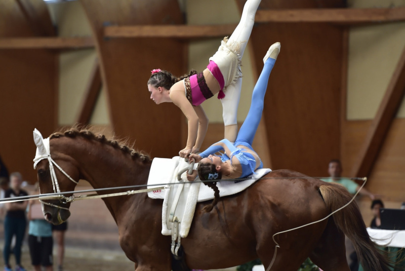 Grand Prix parkúrové a medzinárodné voltížne preteky 2018 Grand Prix parkúrové a medzinárodné voltížne preteky 2018