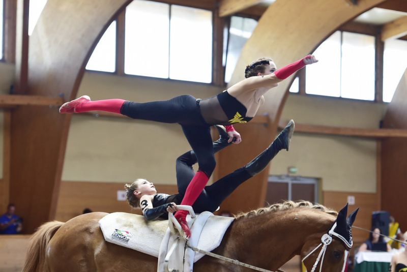 Grand Prix parkúrové a medzinárodné voltížne preteky 2018 Grand Prix parkúrové a medzinárodné voltížne preteky 2018
