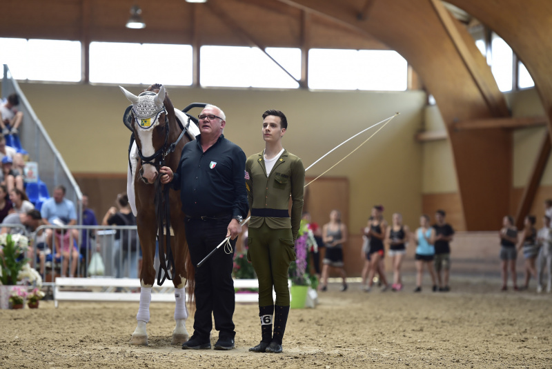 Grand Prix parkúrové a medzinárodné voltížne preteky 2018 Grand Prix parkúrové a medzinárodné voltížne preteky 2018
