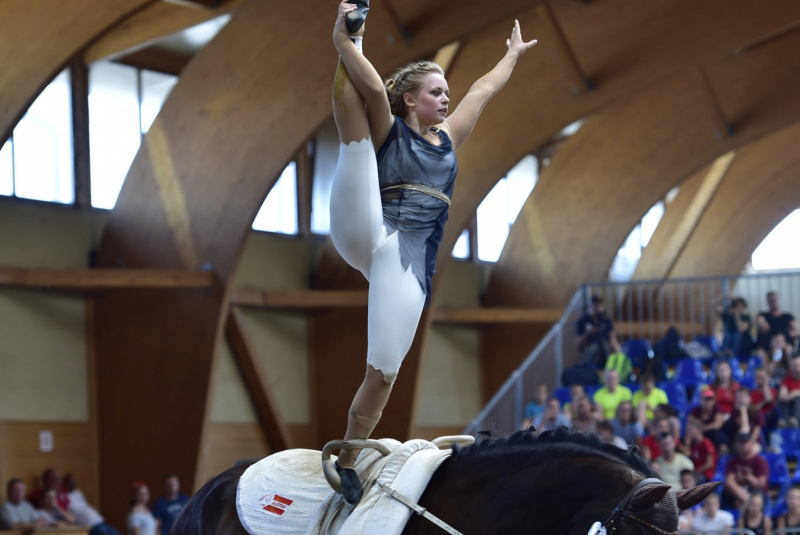 Grand Prix parkúrové a medzinárodné voltížne preteky 2018 Grand Prix parkúrové a medzinárodné voltížne preteky 2018