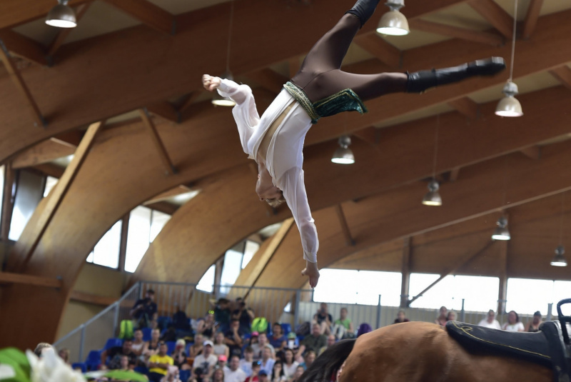 Grand Prix parkúrové a medzinárodné voltížne preteky 2018 Grand Prix parkúrové a medzinárodné voltížne preteky 2018