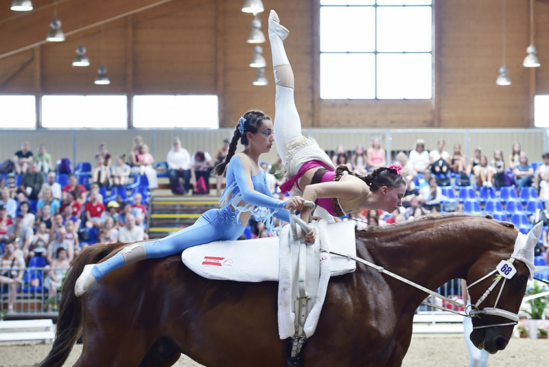 Grand Prix parkúrové a medzinárodné voltížne preteky 2018 Grand Prix parkúrové a medzinárodné voltížne preteky 2018