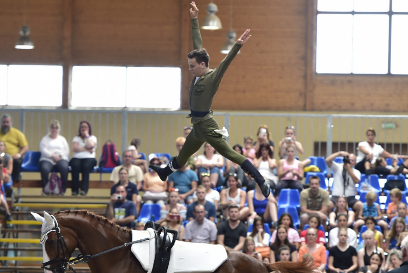 Grand Prix parkúrové a medzinárodné voltížne preteky 2018 Grand Prix parkúrové a medzinárodné voltížne preteky 2018