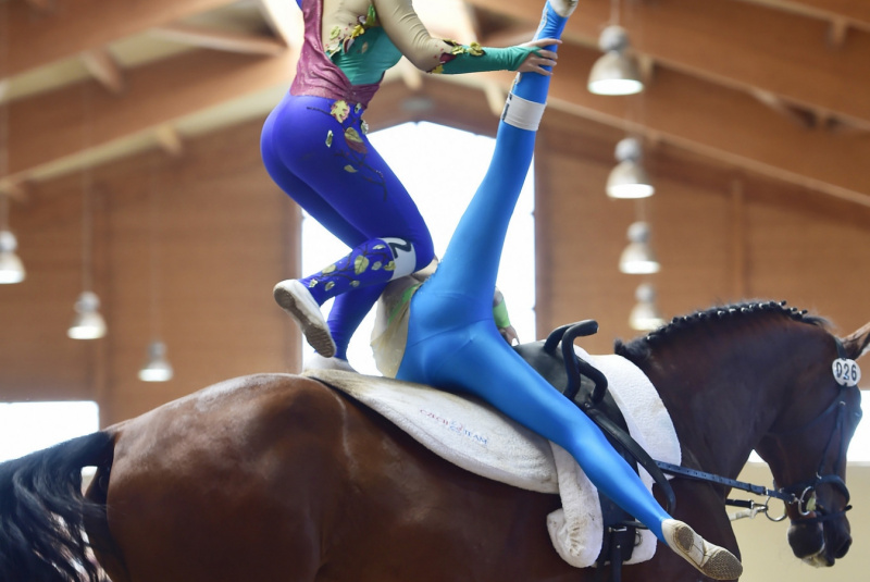 Grand Prix parkúrové a medzinárodné voltížne preteky 2018 Grand Prix parkúrové a medzinárodné voltížne preteky 2018