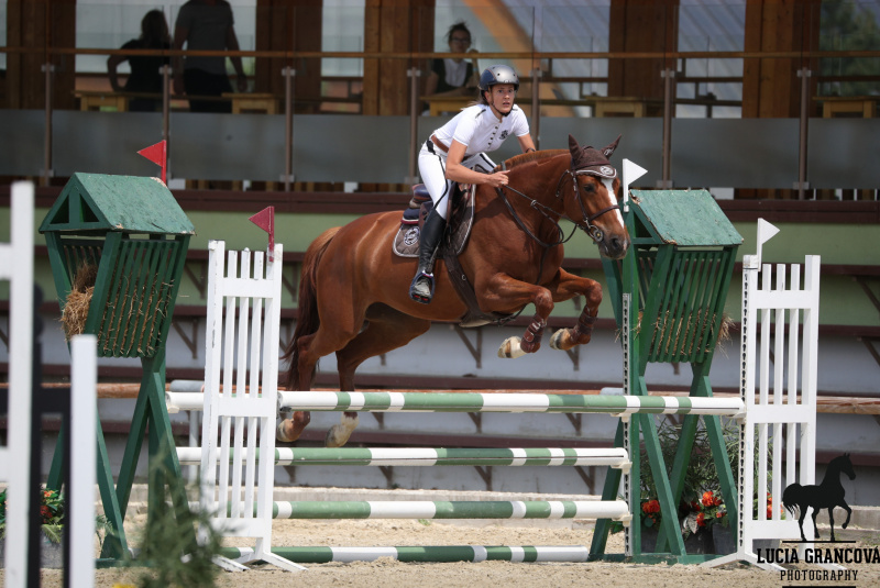 Blog / Otvorenie jazdeckej sezóny - Rozálka cup I.kolo  - foto