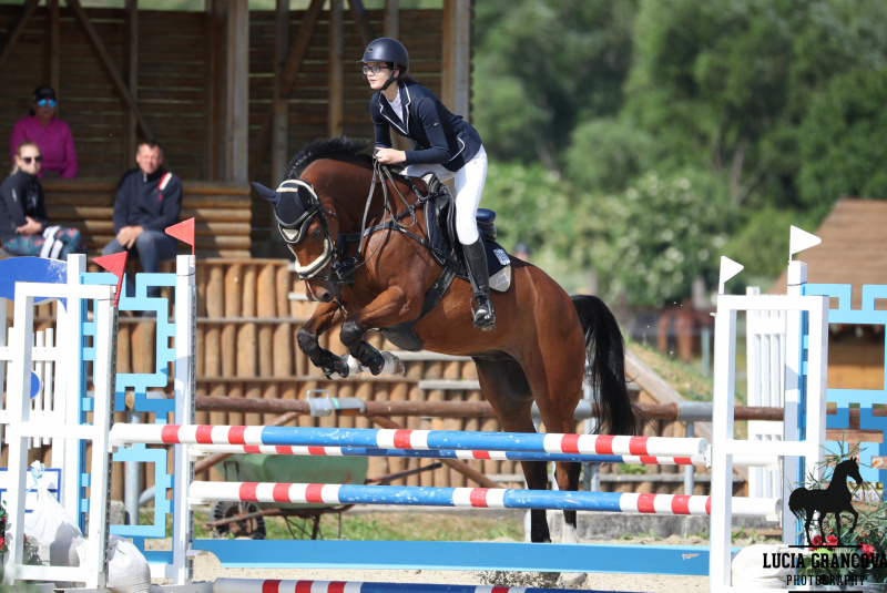 Blog / Otvorenie jazdeckej sezóny - Rozálka cup I.kolo - foto Blog / Otvorenie jazdeckej sezóny - Rozálka cup I.kolo - foto