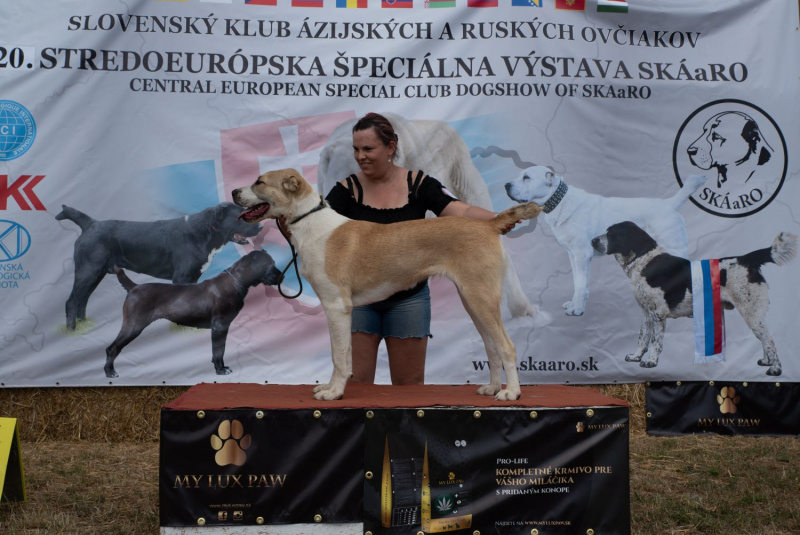 Blog / Domáci miláčikovia sú u nás vítaní - dog friendly hotel  - foto Blog / Domáci miláčikovia sú u nás vítaní - dog friendly hotel  - foto