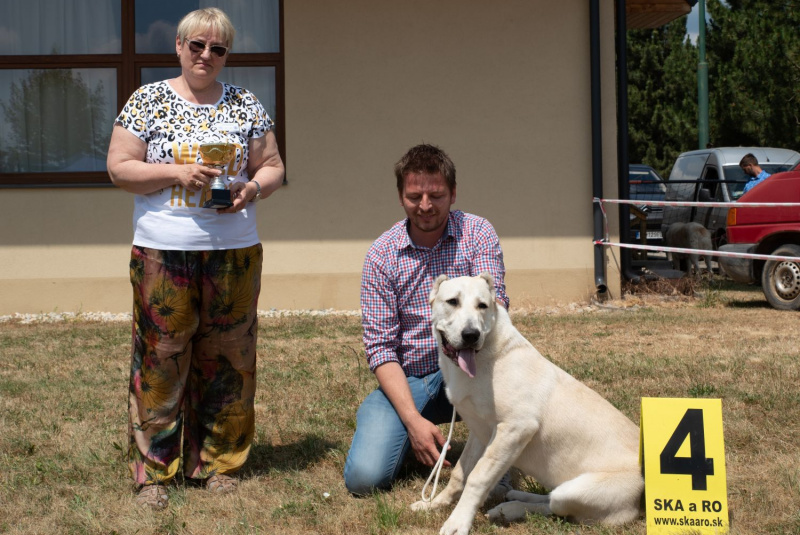 Blog / Domáci miláčikovia sú u nás vítaní - dog friendly hotel  - foto Blog / Domáci miláčikovia sú u nás vítaní - dog friendly hotel  - foto