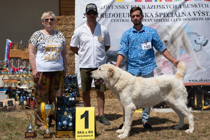 Blog / Domáci miláčikovia sú u nás vítaní - dog friendly hotel  - foto Blog / Domáci miláčikovia sú u nás vítaní - dog friendly hotel  - foto