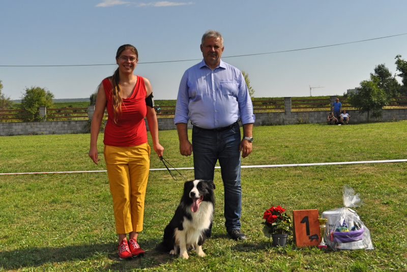 Blog / Výstava najinteligentnejších chlpáčov na Rozálke - foto