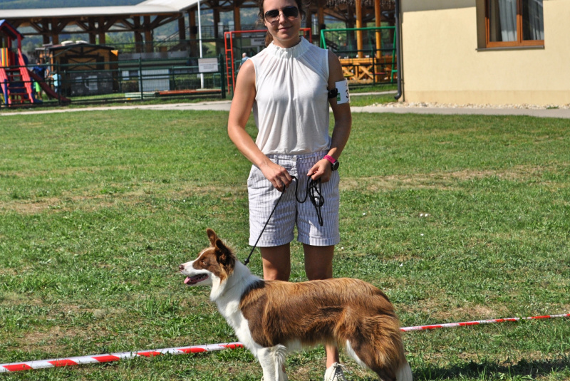 Blog / Výstava najinteligentnejších chlpáčov na Rozálke - foto