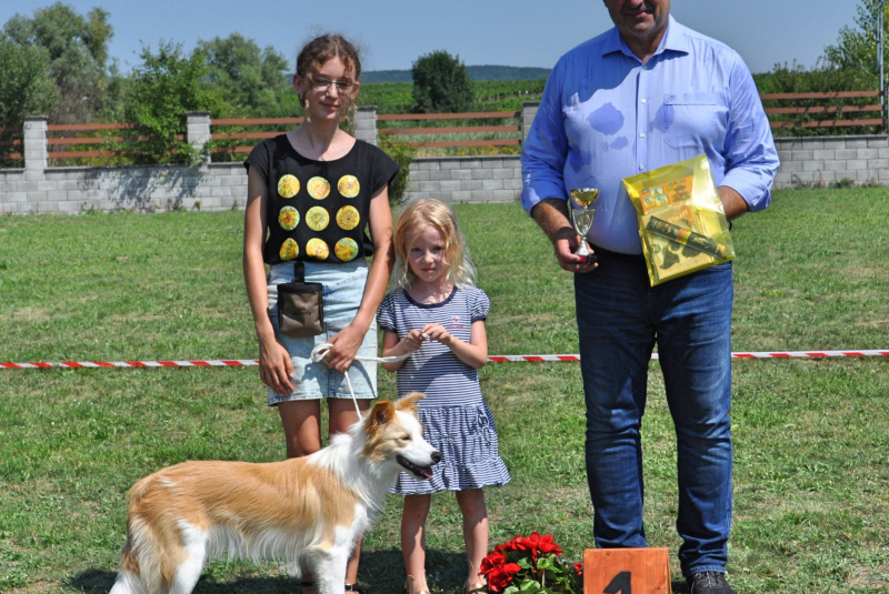 Blog / Výstava najinteligentnejších chlpáčov na Rozálke - foto
