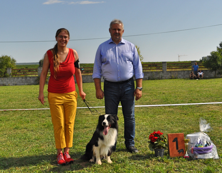 Exhibition of the most intelligent dogs at Rozálka